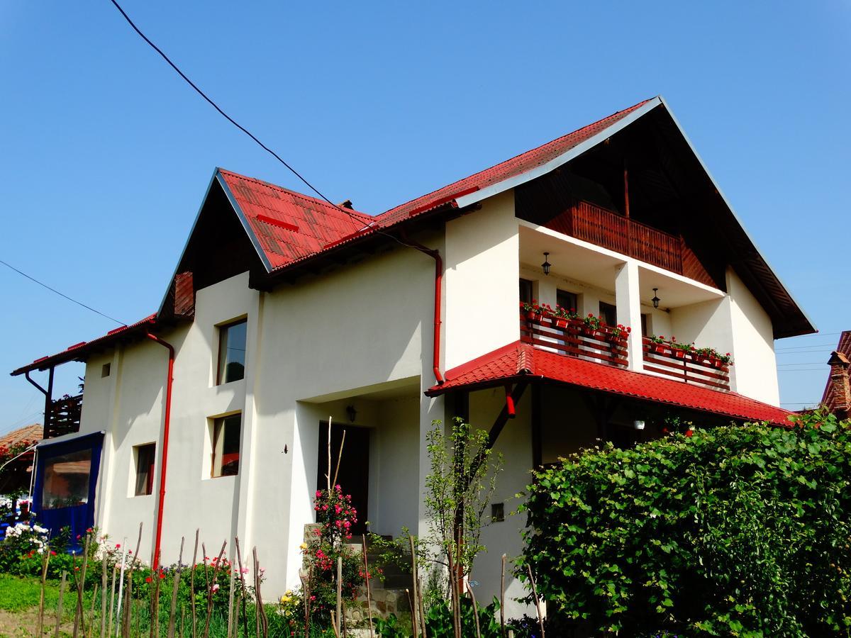 Pensiunea Casa Elena Корбени Екстериор снимка