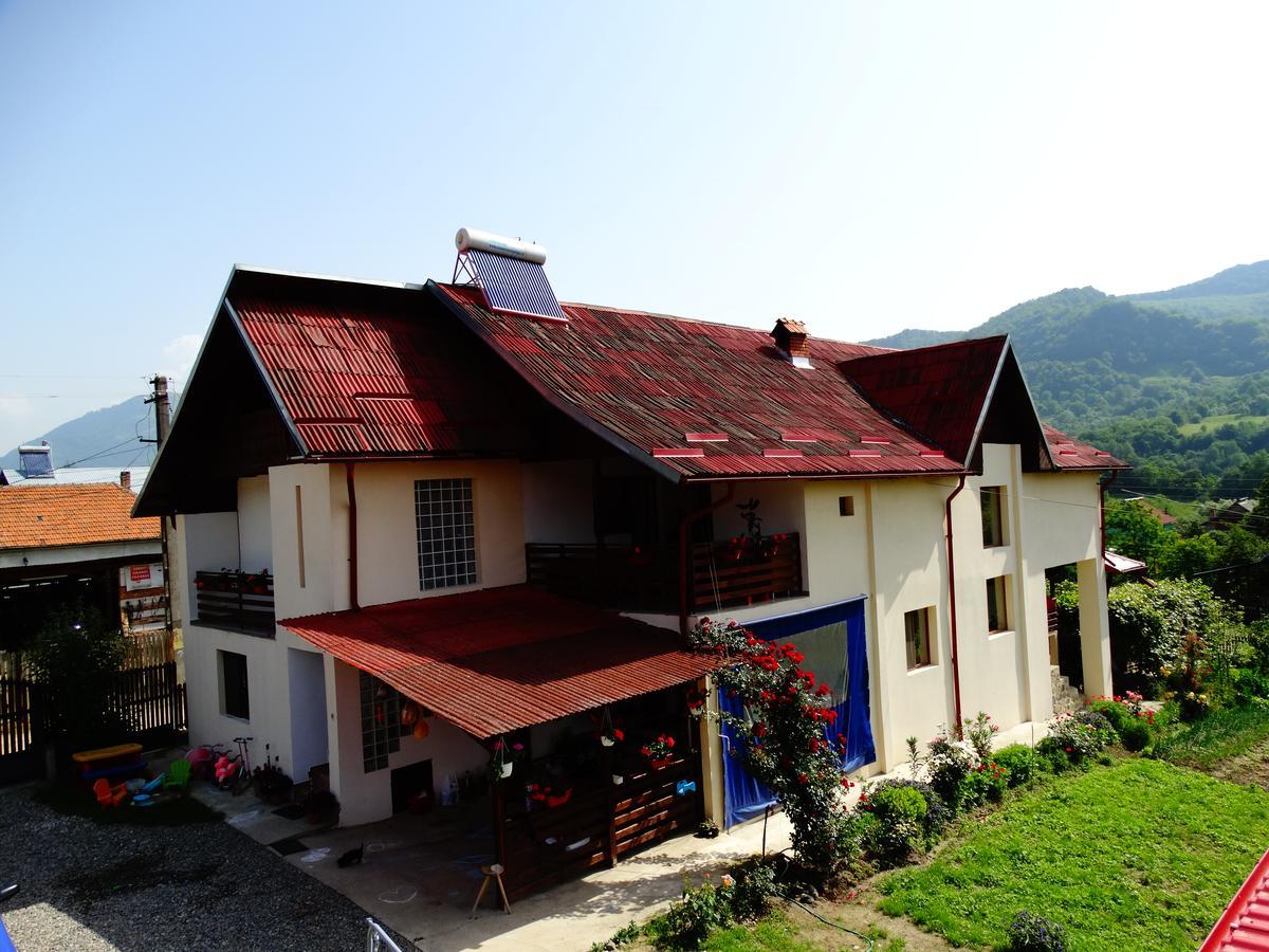 Pensiunea Casa Elena Корбени Екстериор снимка